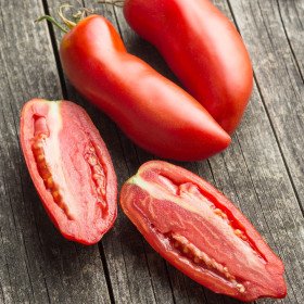 Andean CORNUE tomato